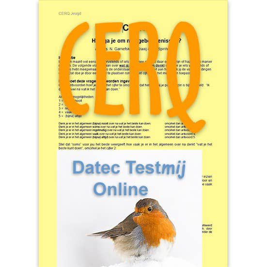 CERQ Online