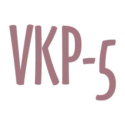 VKP-5 DSM-5